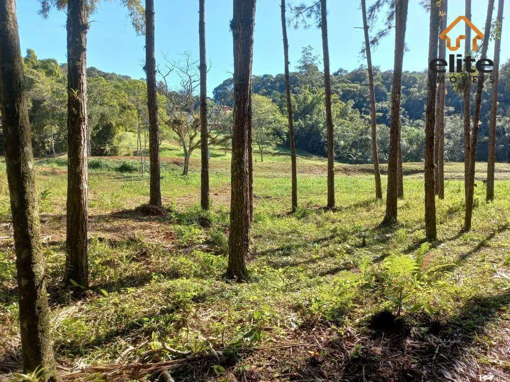 Chácara, 2 hectares - Foto 6