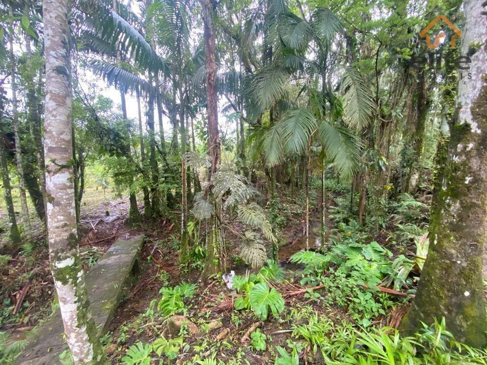 Fazenda, 482 hectares - Foto 6
