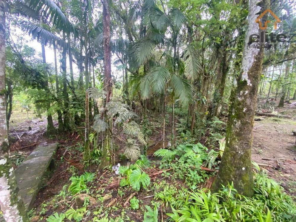 Fazenda, 482 hectares - Foto 7