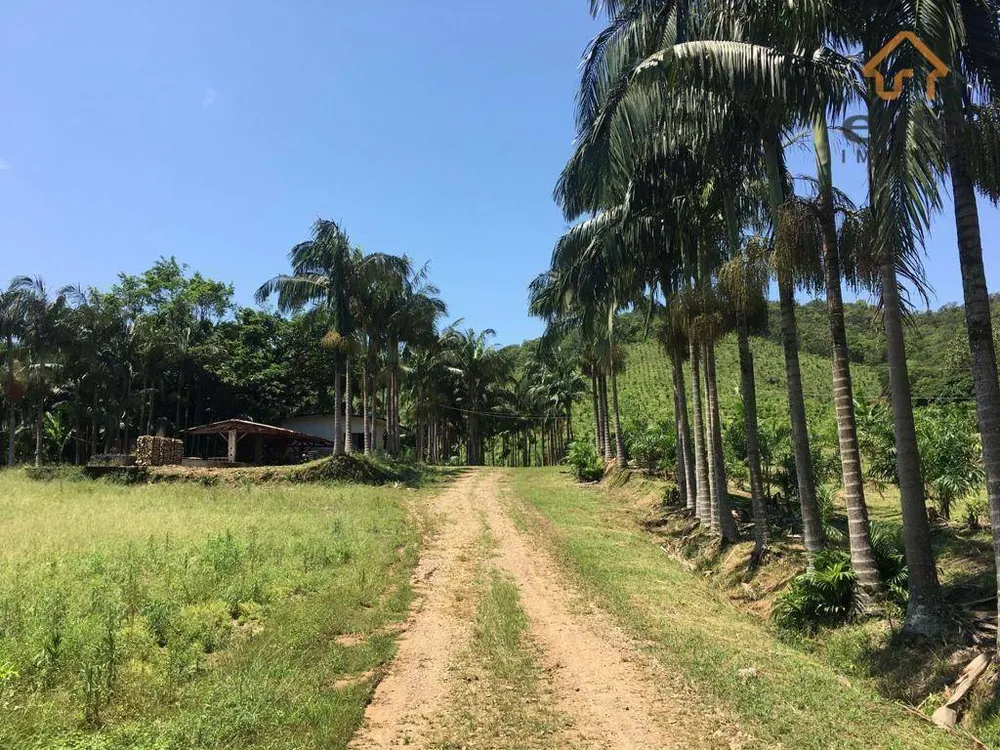 Fazenda, 482 hectares - Foto 10