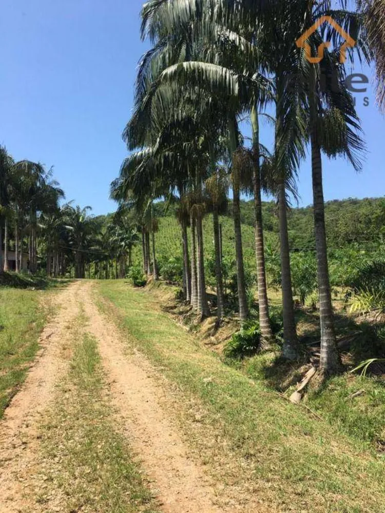 Fazenda, 482 hectares - Foto 1