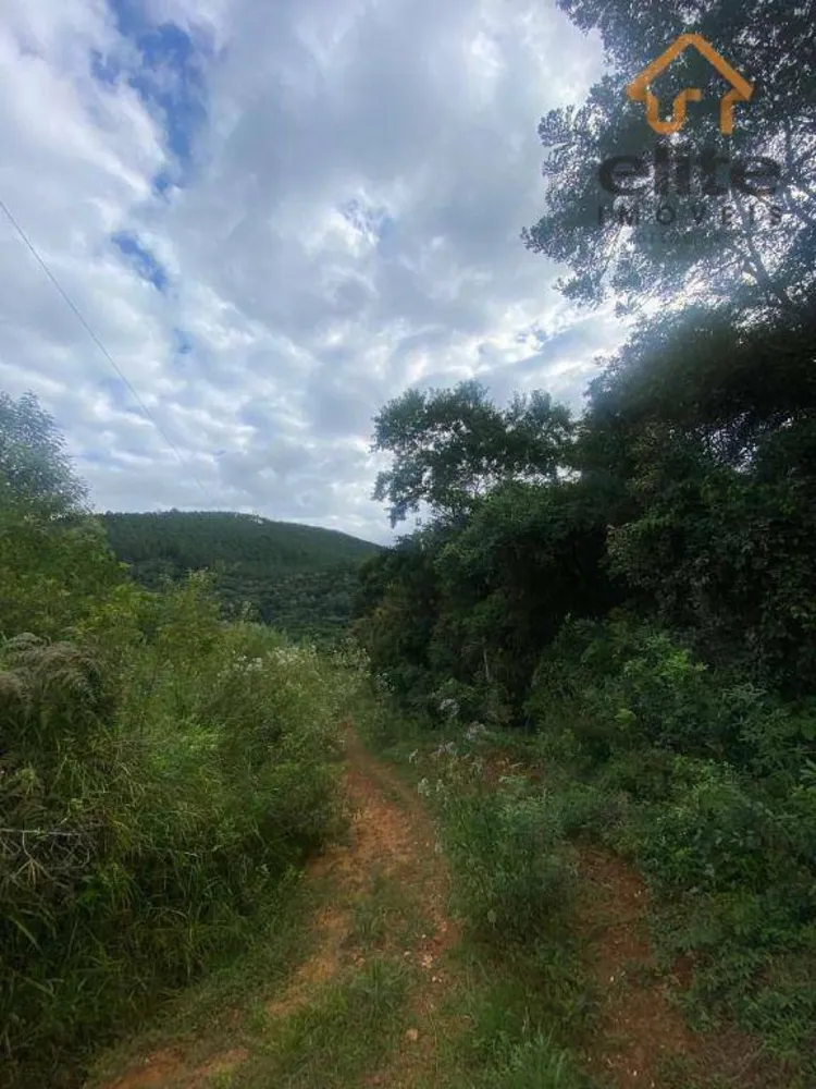 Fazenda, 95 hectares - Foto 3
