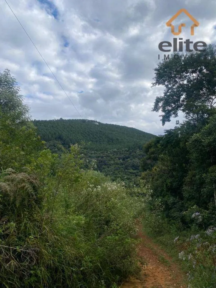 Fazenda, 95 hectares - Foto 2