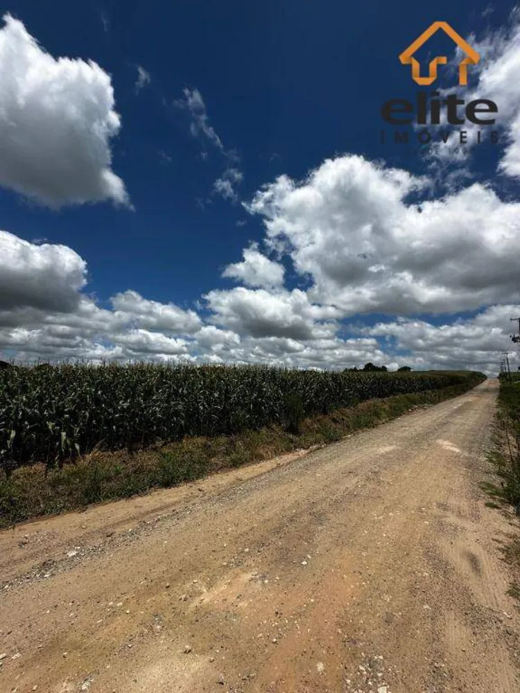 Terreno, 2 hectares - Foto 3