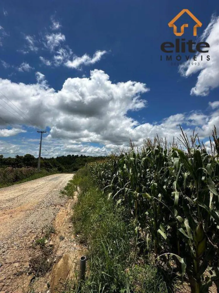 Terreno, 2 hectares - Foto 6