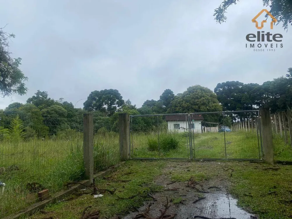 Terreno, 2 hectares - Foto 4