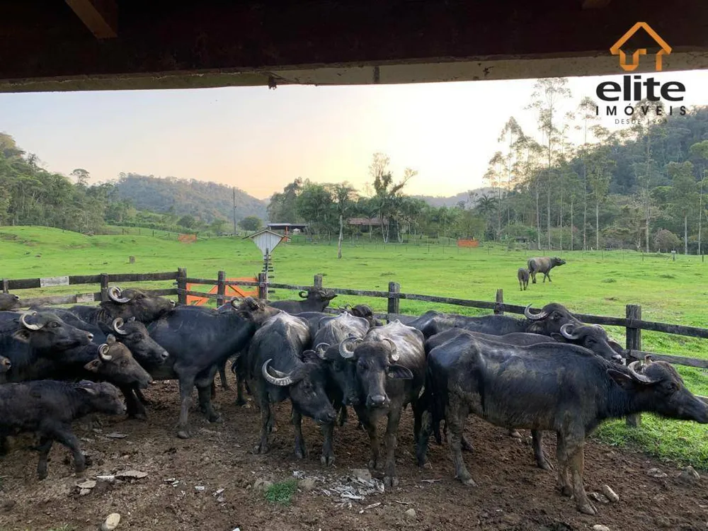 Fazenda, 430 hectares - Foto 3
