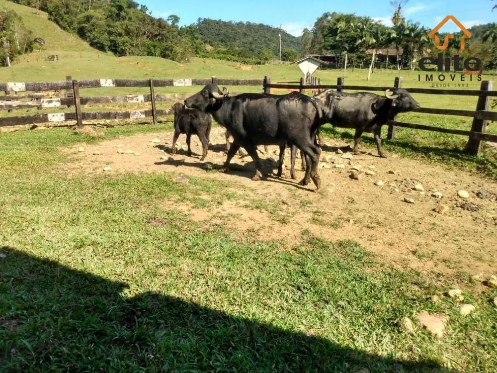 Fazenda, 430 hectares - Foto 2