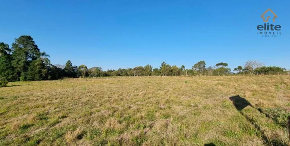 Terreno, 11 hectares - Foto 3