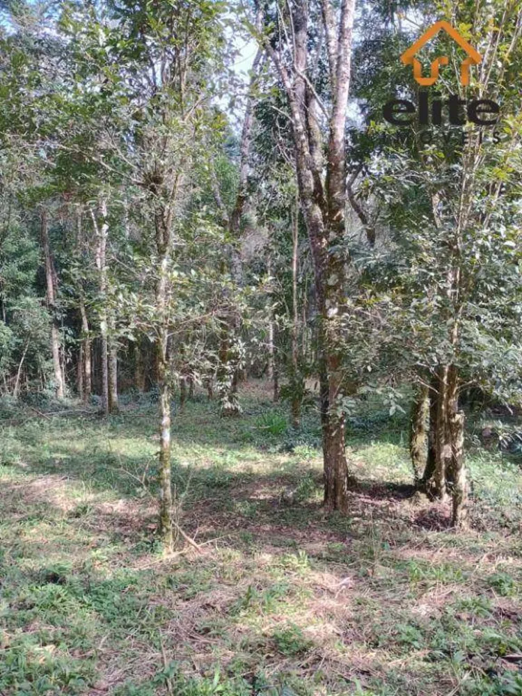 Terreno, 2494 m² - Foto 5