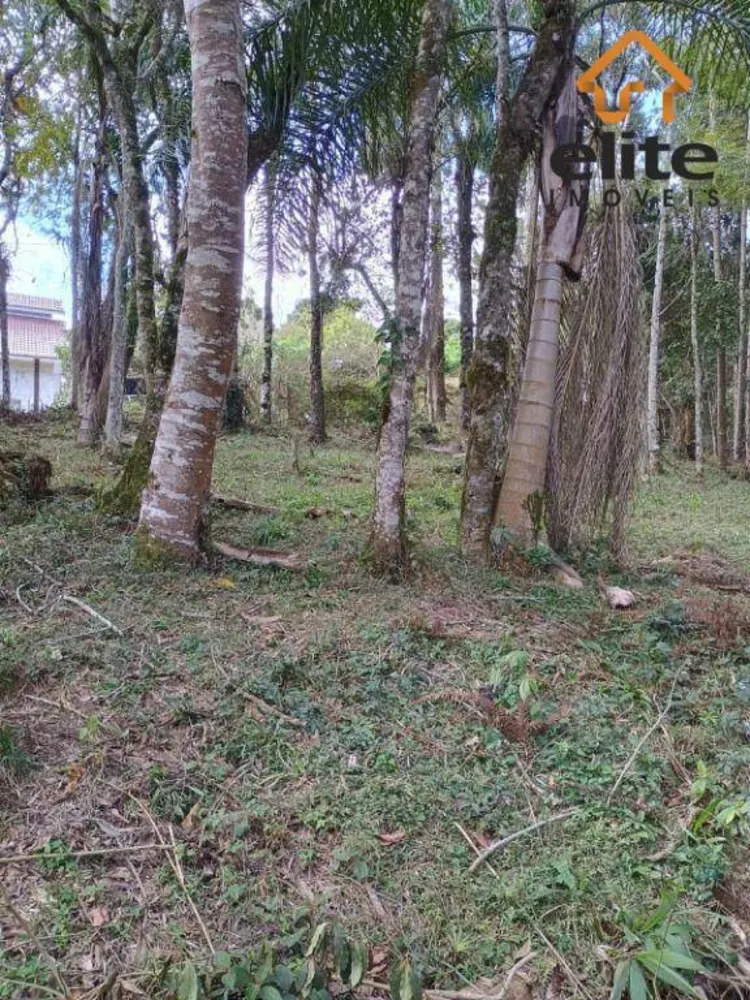 Terreno, 2494 m² - Foto 3