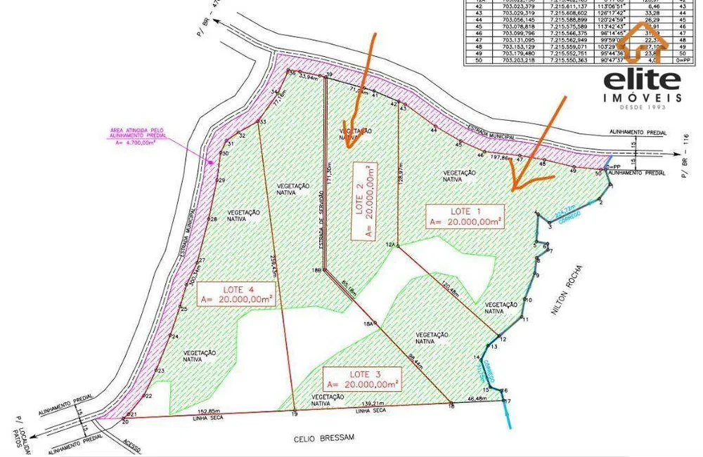 Chácara, 2 hectares - Foto 2