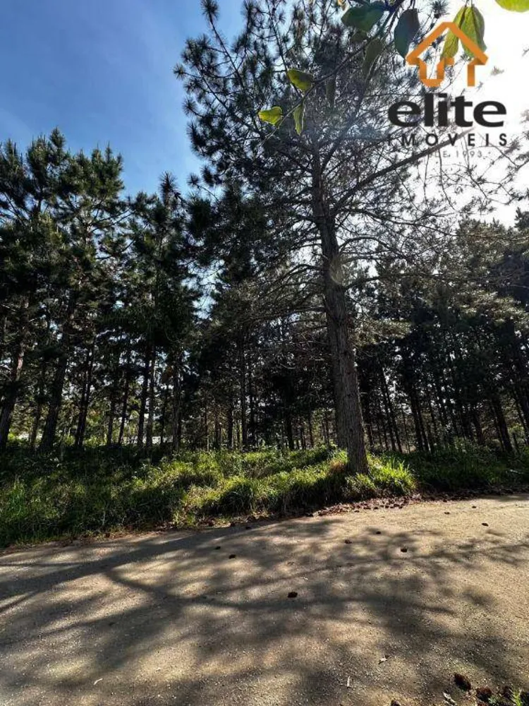 Terreno, 3001 m² - Foto 4