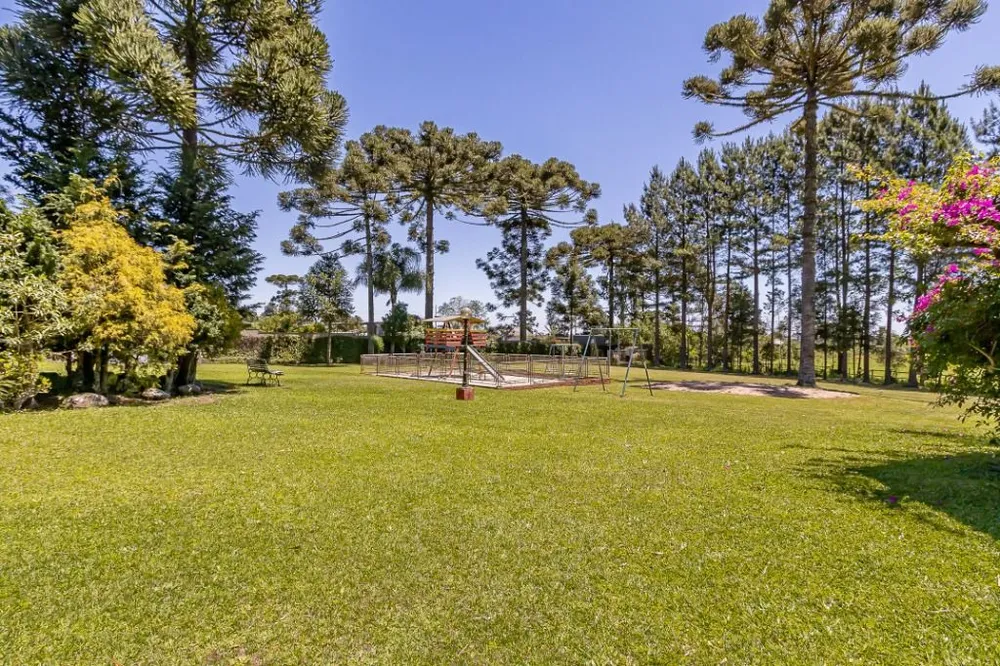 Fazenda, 23 hectares - Foto 2