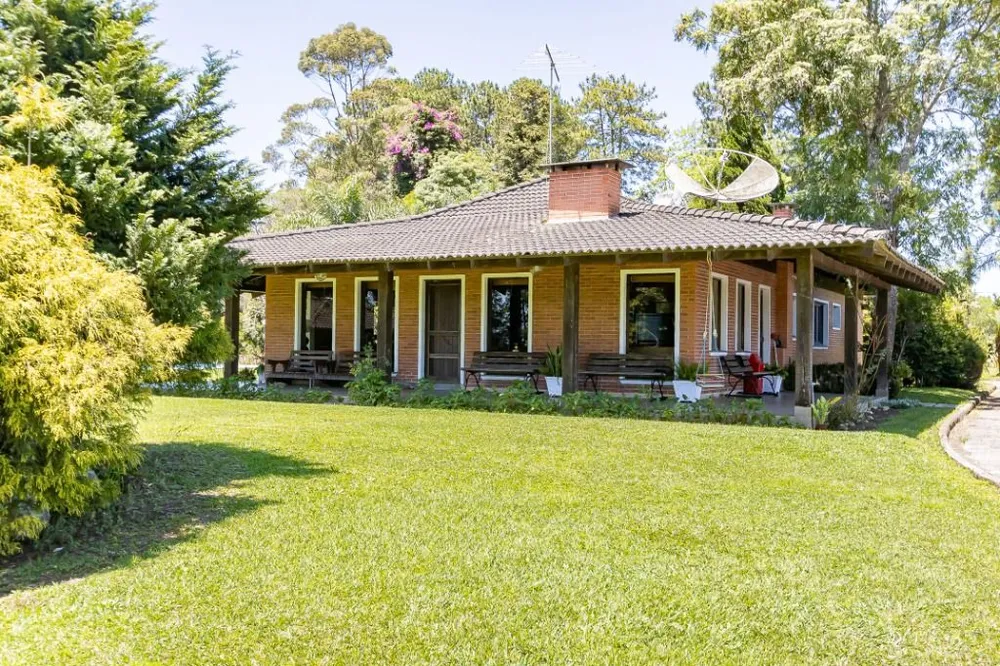 Sítio, 23 hectares - Foto 15