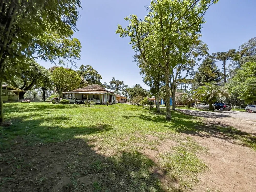 Fazenda, 23 hectares - Foto 6
