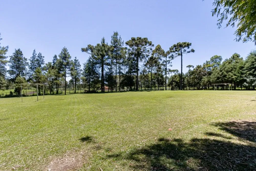 Fazenda, 23 hectares - Foto 8
