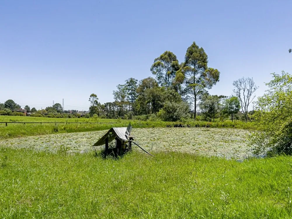 Sítio, 23 hectares - Foto 4