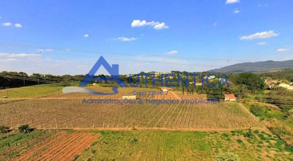 Terreno, 4 hectares - Foto 4