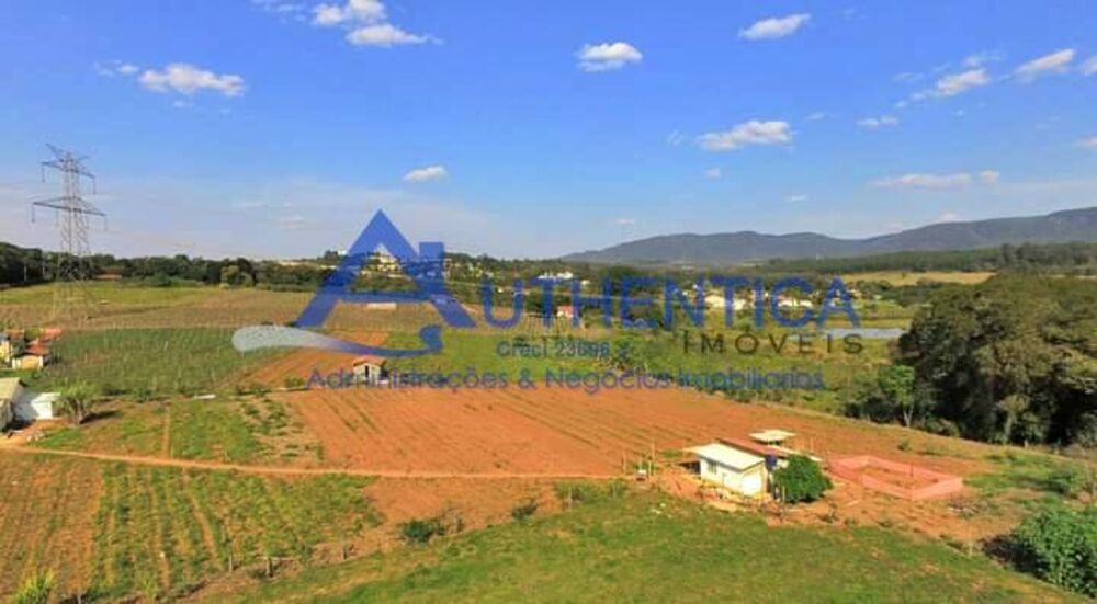Terreno, 4 hectares - Foto 3