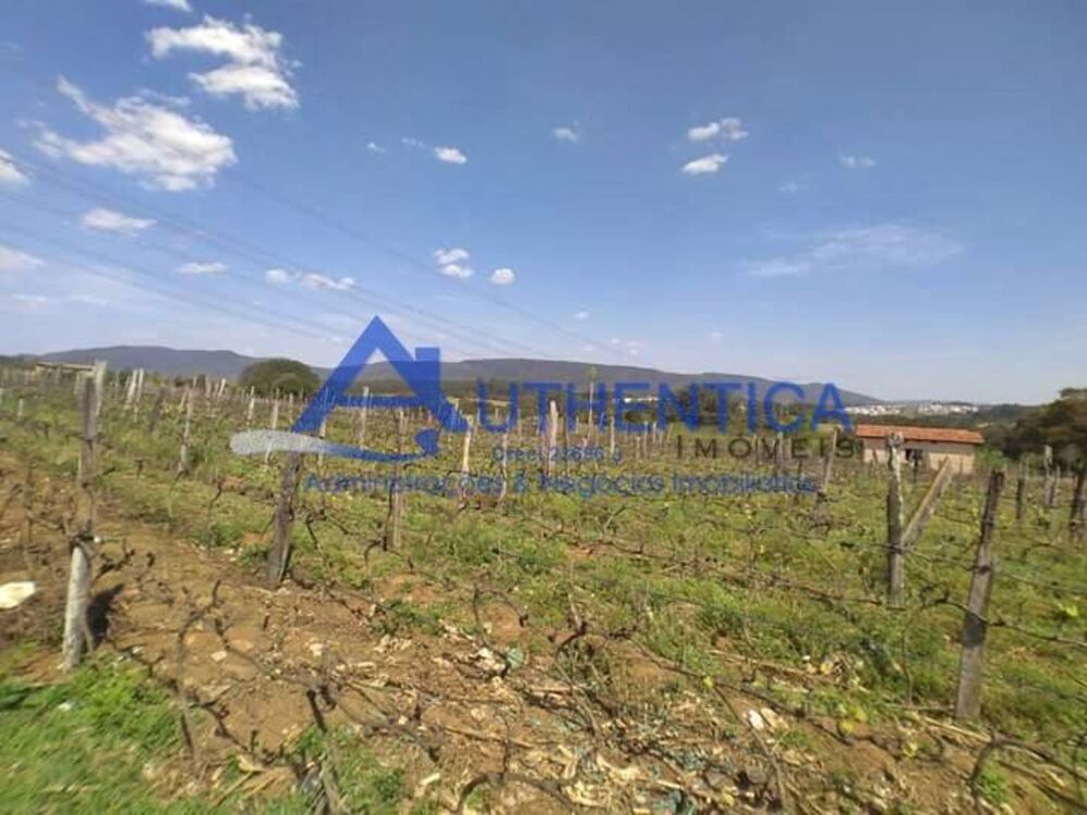 Terreno, 4 hectares - Foto 6