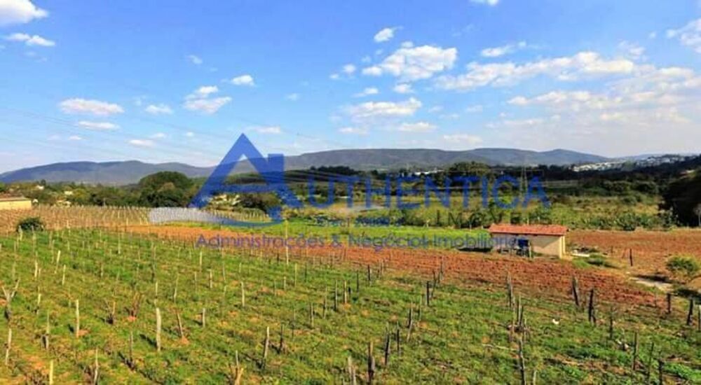 Terreno, 4 hectares - Foto 2