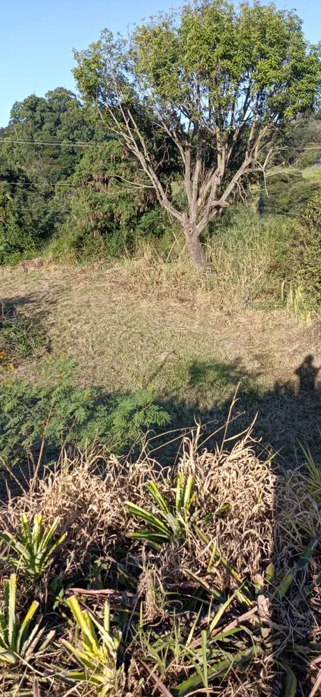 Terreno - Foto 10