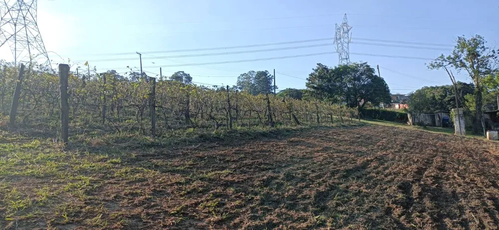 Terreno - Foto 8