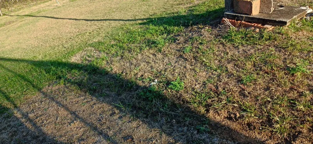 Terreno - Foto 9