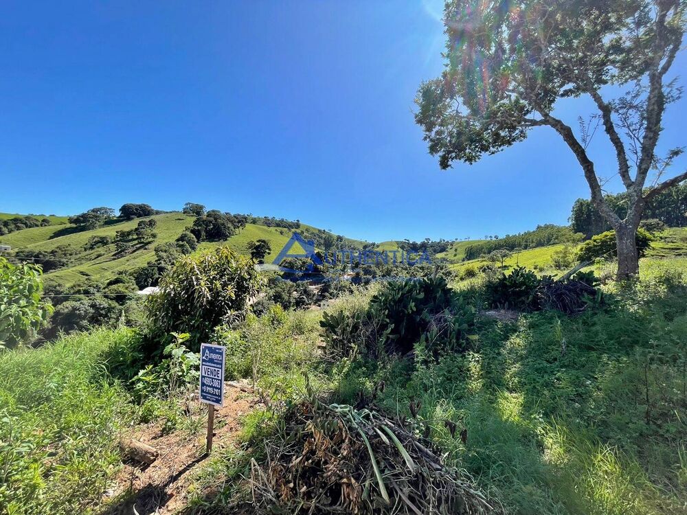 Terreno, 250 m² - Foto 6