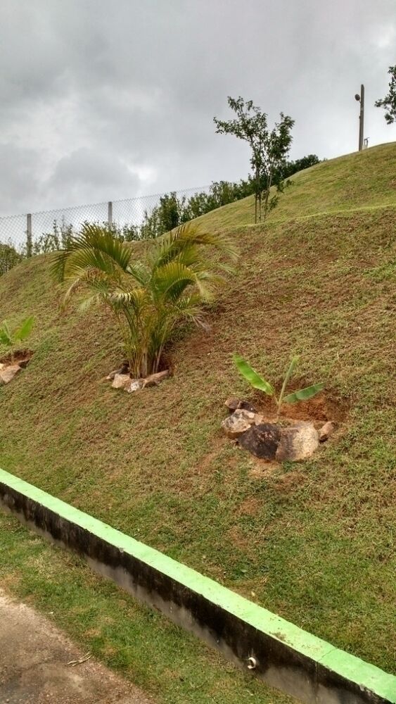 Chácara, 3 quartos, 1200 m² - Foto 6