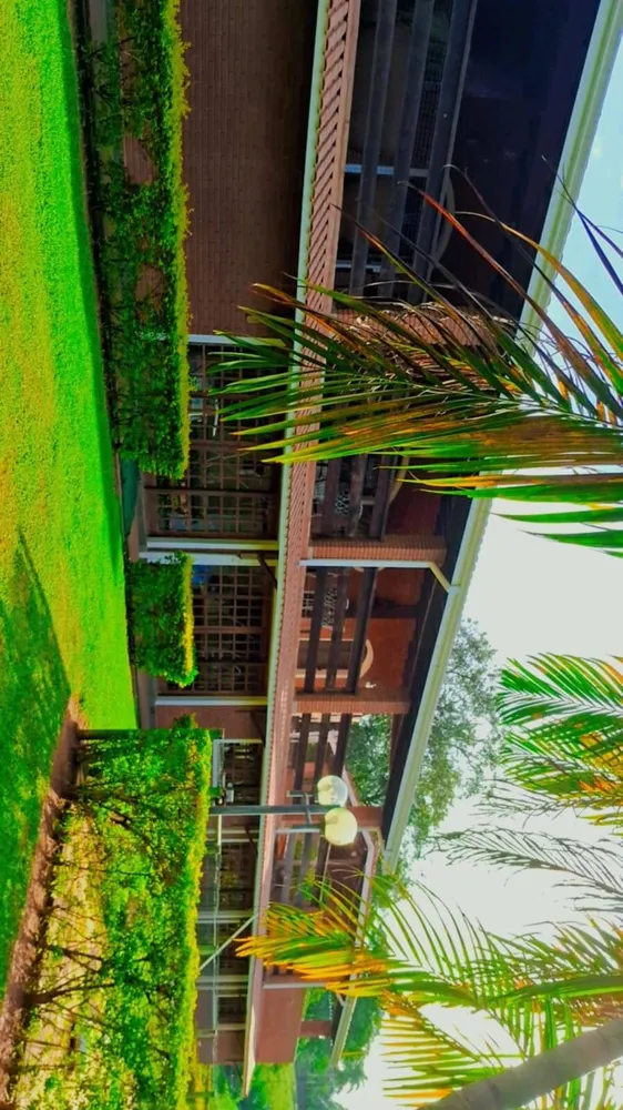 Chácara, 3 quartos, 8000 m² - Foto 10