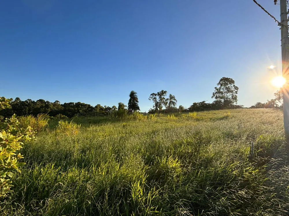 Terreno, 250 m² - Foto 5