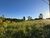 Terreno, 250 m² - Foto 4