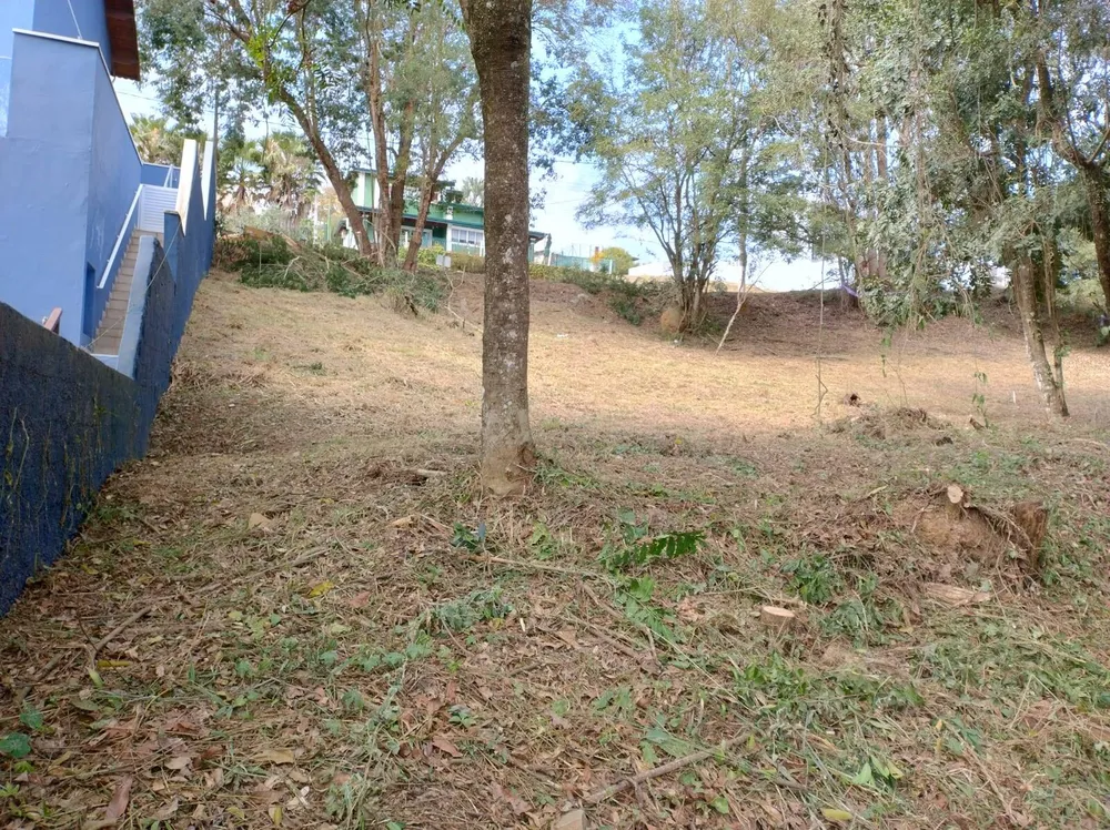 Terreno - Foto 2