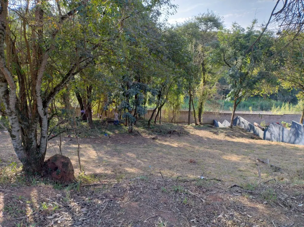 Terreno - Foto 1