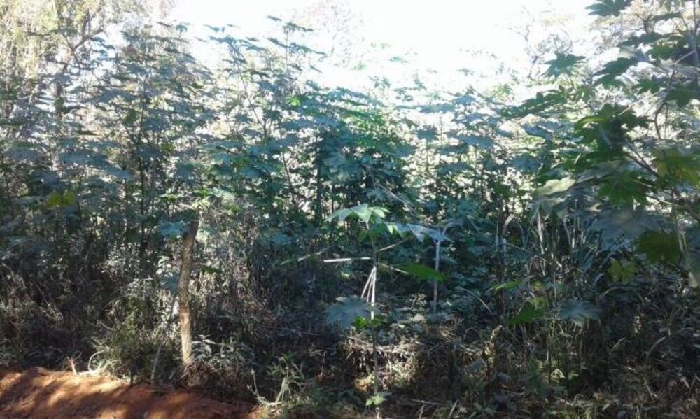 Terreno à venda, 5600m² - Foto 5