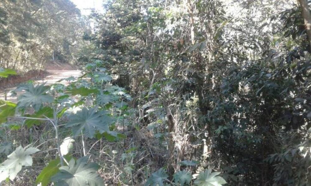 Terreno à venda, 5600m² - Foto 3