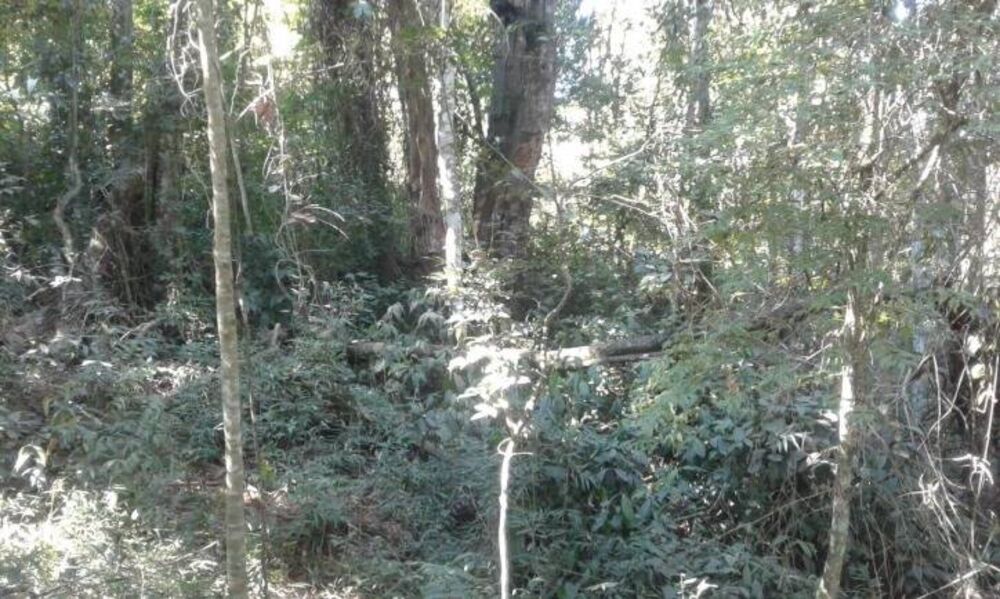 Terreno à venda, 5600m² - Foto 4