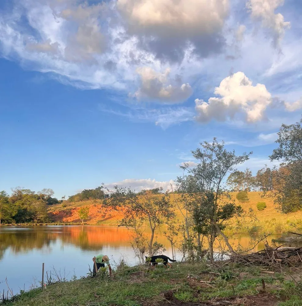 Terreno, 2 hectares - Foto 4