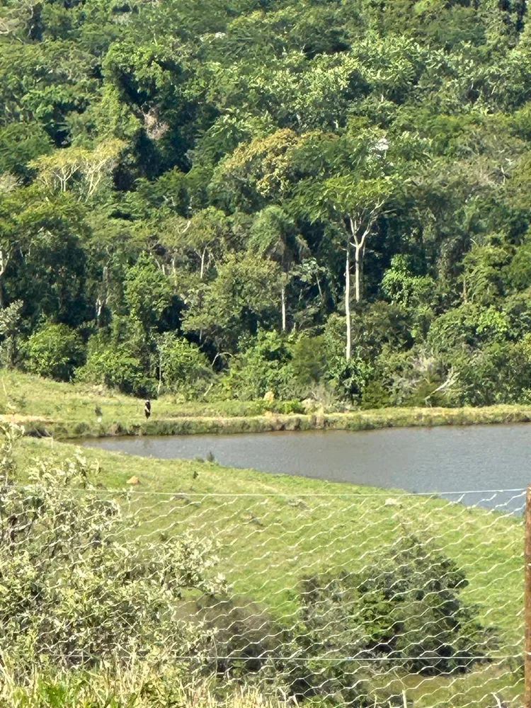 Terreno, 2 hectares - Foto 8