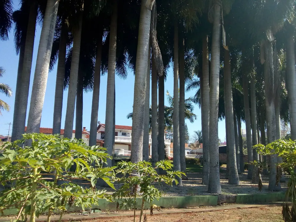 Loja-Salão, 950 m² - Foto 11