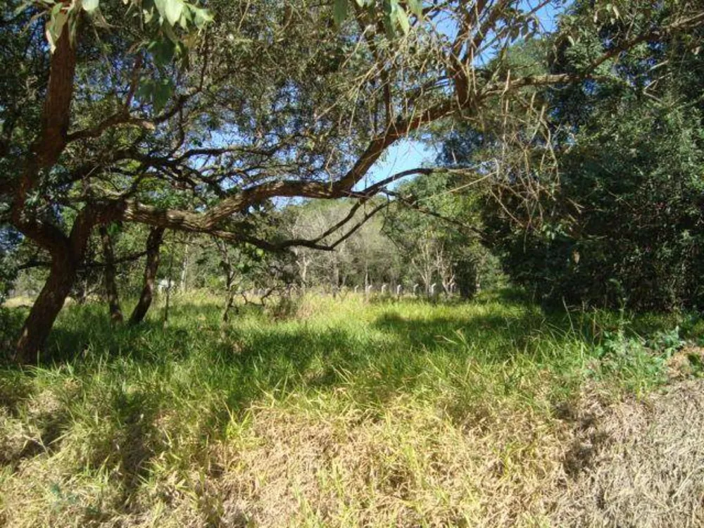 Terreno - Foto 5