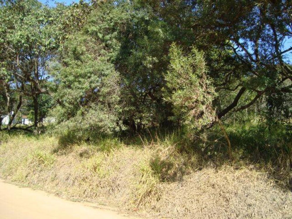 Terreno - Foto 3