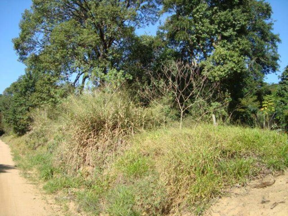 Terreno - Foto 1