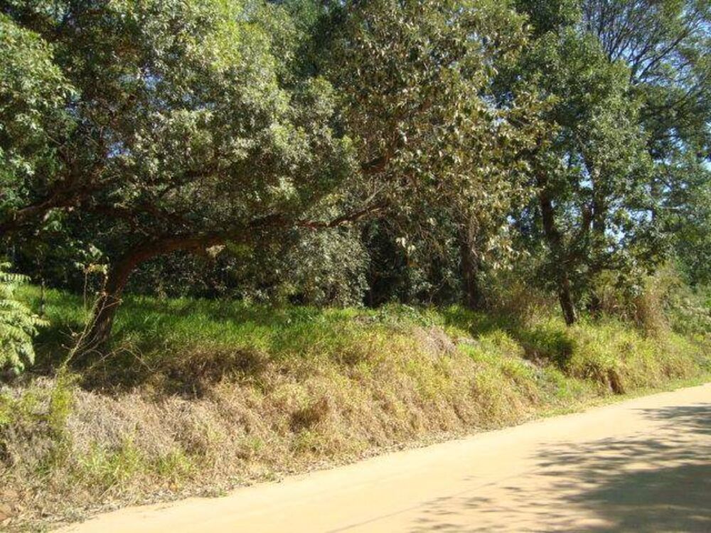 Terreno - Foto 4