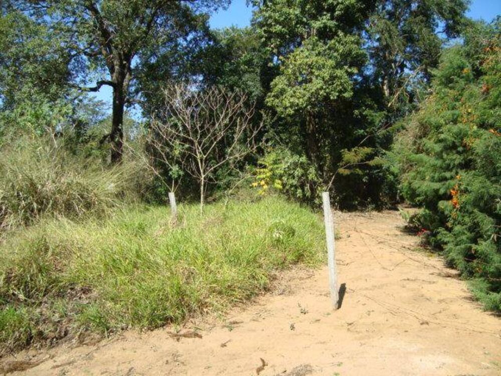 Terreno - Foto 2