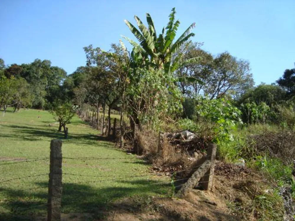Terreno - Foto 6