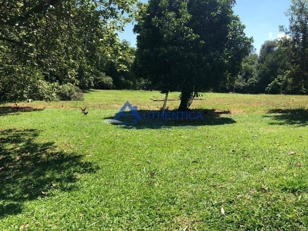 Prédio Inteiro - Foto 5