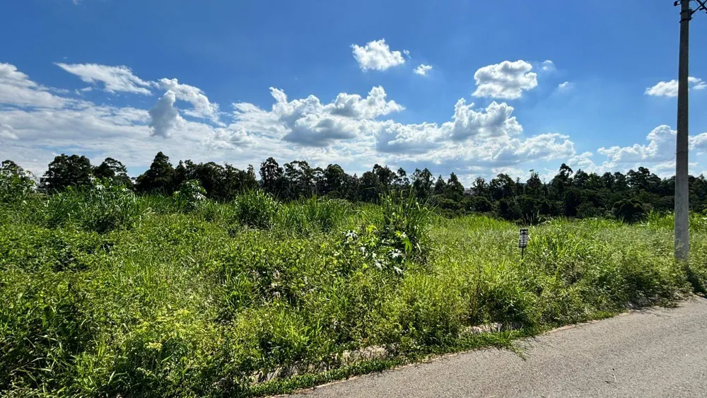Terreno, 360 m² - Foto 4